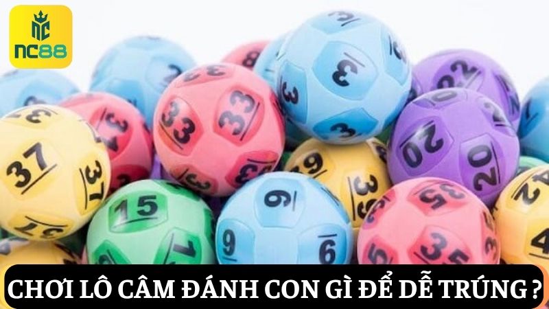 tìm hiểu Khi đầu đít lô câm đánh con gì