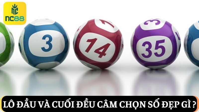 Khi đầu đít lô câm đánh con gì về giải đặc biệt cao nhất