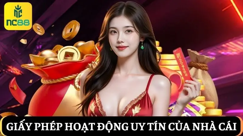 Giấy phép hoạt động NC88