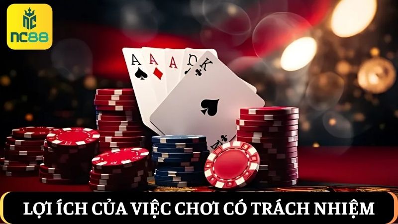 lợi ích chơi có trách nhiệm