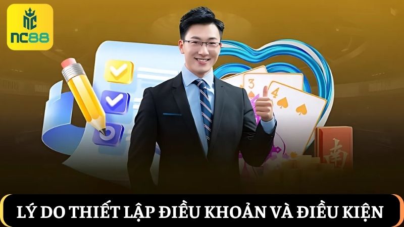 Lý do đưa ra Điều khoản và điều kiện