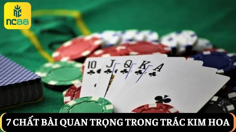 7 chất bài quan trọng trong Trác Kim Hoa