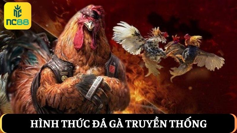 Tham gia các trận đá gà NC88