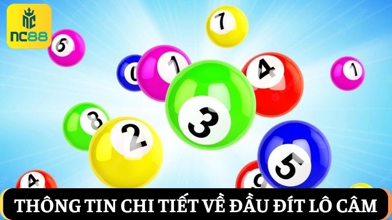 Khi đầu đít lô câm đánh con gì